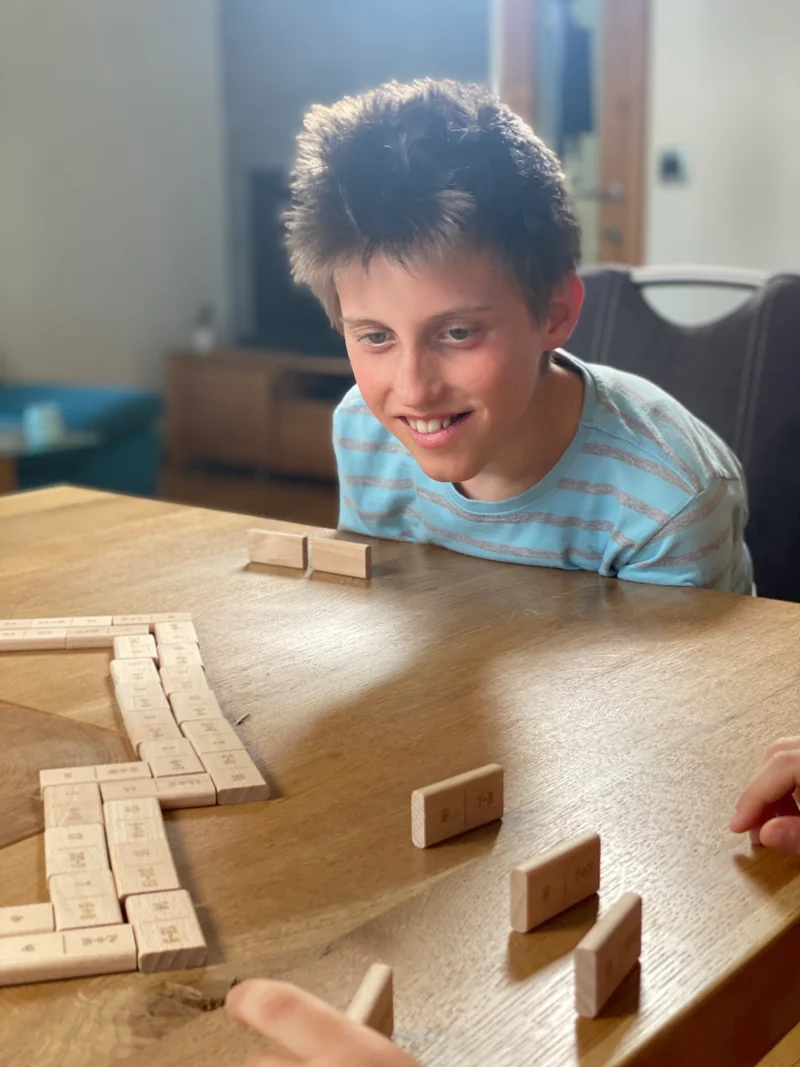Didi Toys Dominosteine Malrechnen bis 10