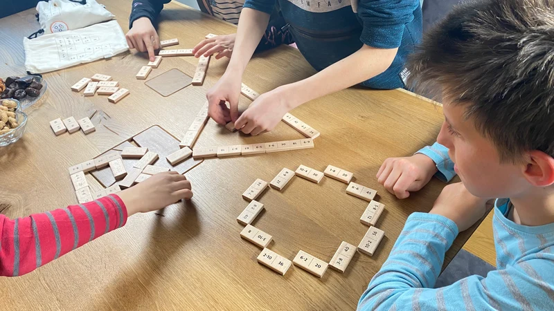 Didi Toys Dominosteine Malrechnen bis 10