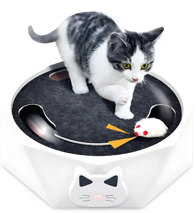 Interaktives Katzenspielzeug mit beweglicher Maus
