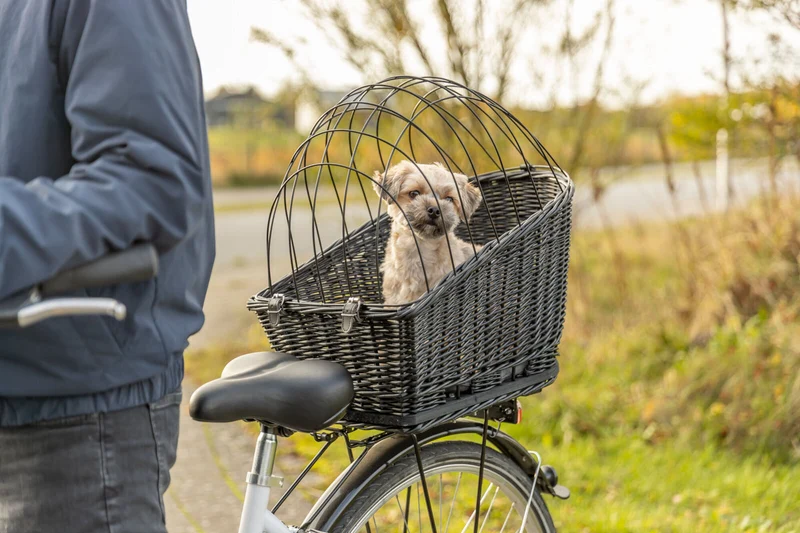 Hundefahrradkorb für Gepäckträger aus Weide, schwarz