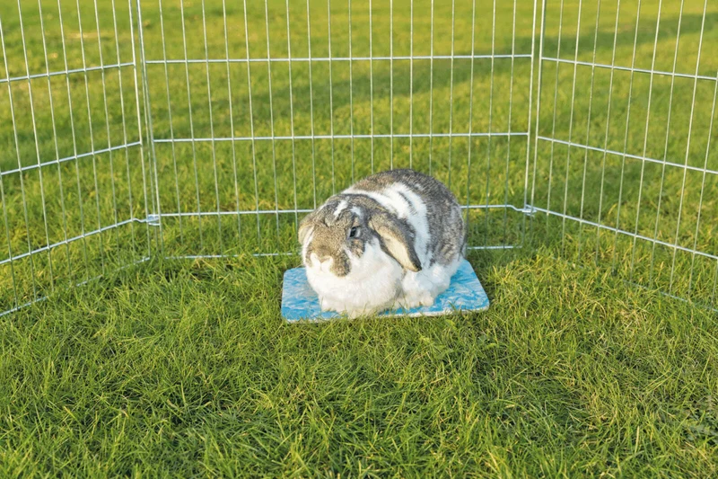 Kühlplatte