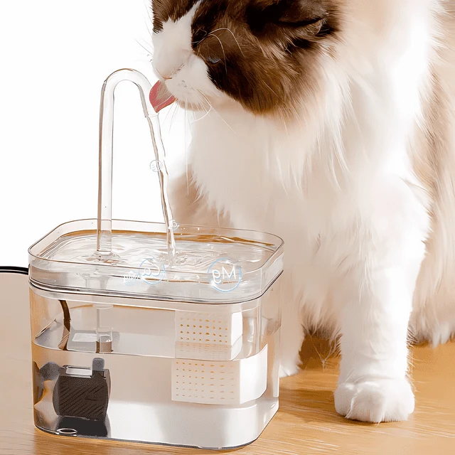 Premium Haustier Trinkbrunnen für Sauberes Wasser