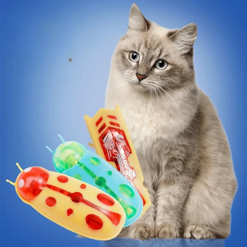 Katzen Kakerlaken-Spielzeug