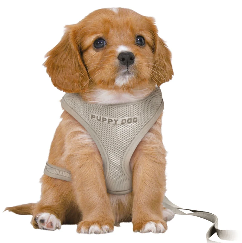 Junior Welpen-Softgeschirr mit Leine