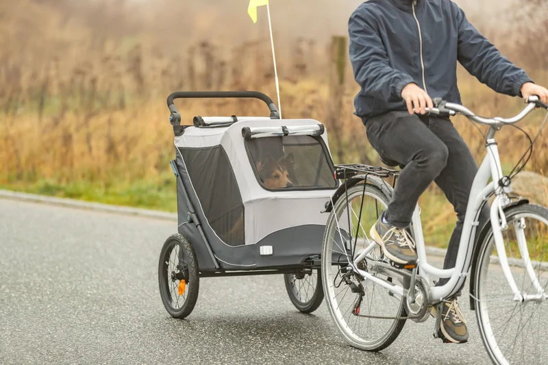 Fahrradanhänger für Hunde, schnell zusammenklappbar