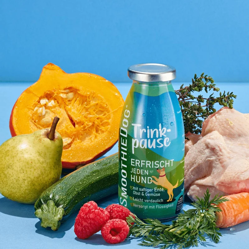 Hundesmoothie, Trinkpause Ente