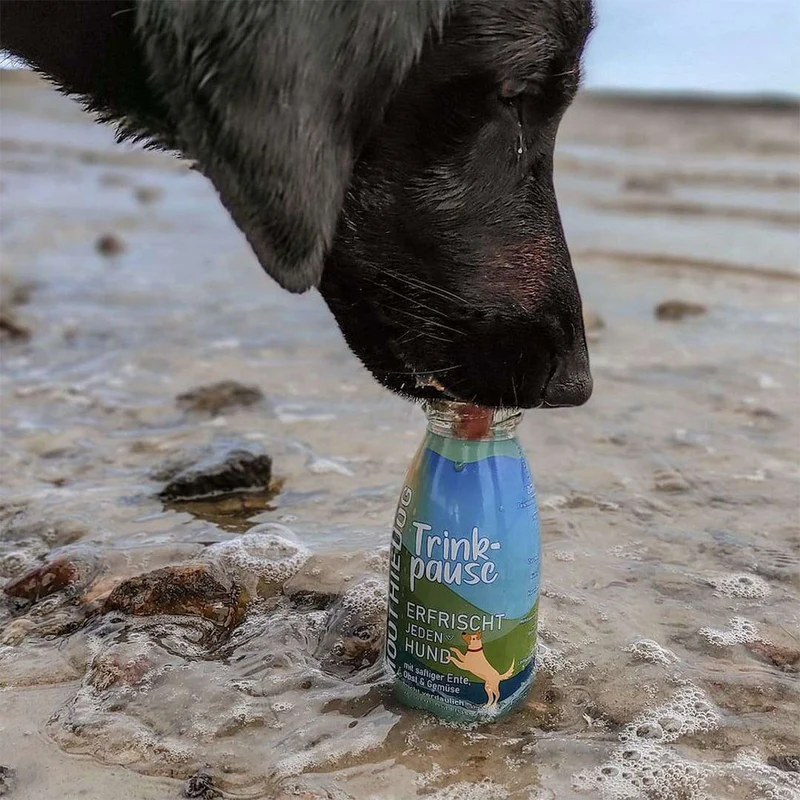 Hundesmoothie, Trinkpause Ente