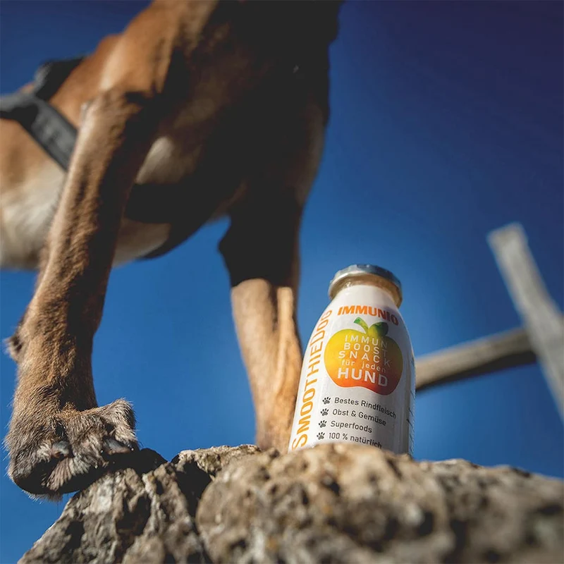 Hundesmoothie, Immunio Rind