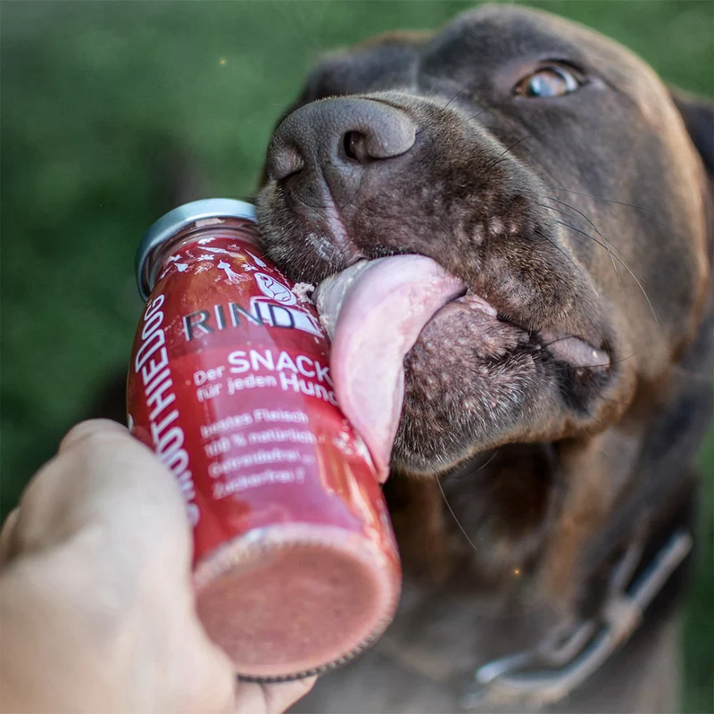 Hundesmoothie, Rind