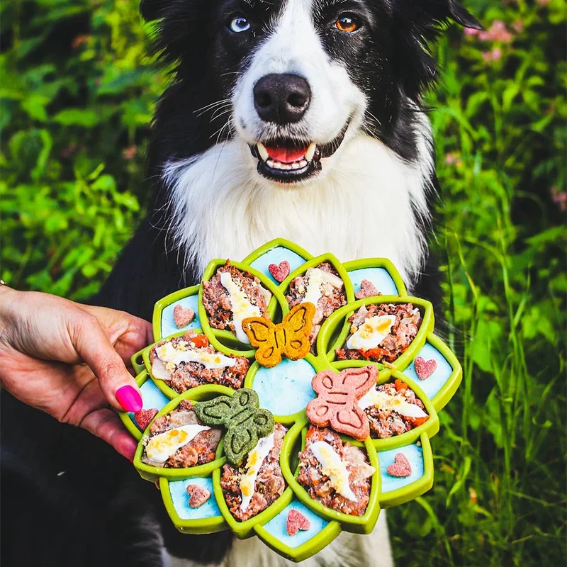 Antischlingnapf Mandala, Green