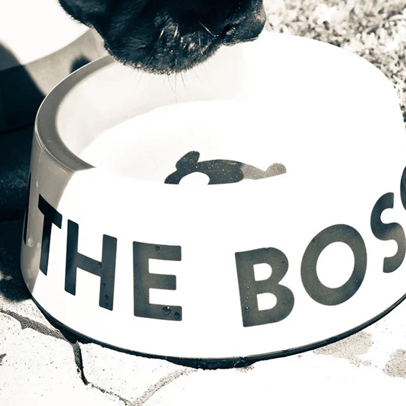 Hundenapf The Boss white