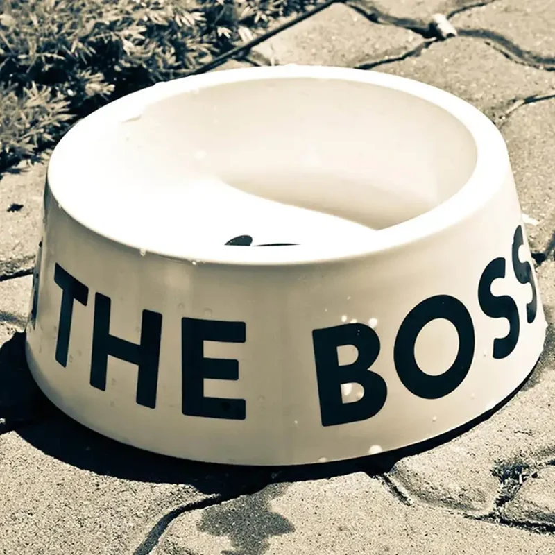 Hundenapf The Boss white