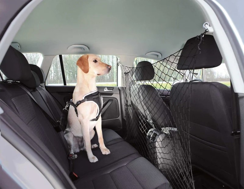 Auto-Trennnetz für Hunde