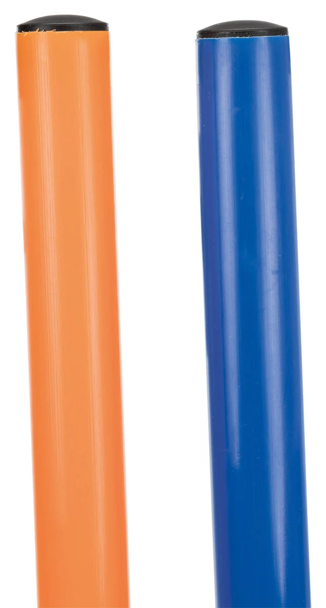 Fun Agility Slalom