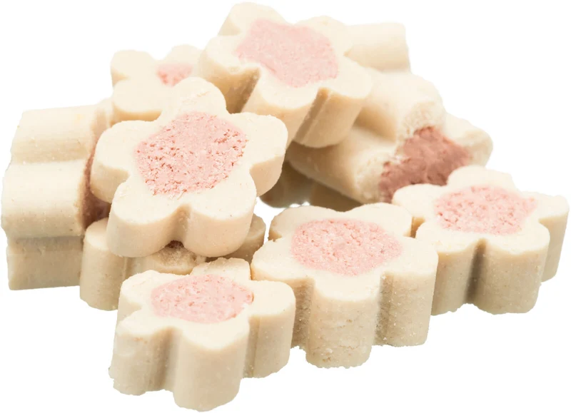 Adventskalender für Katzen