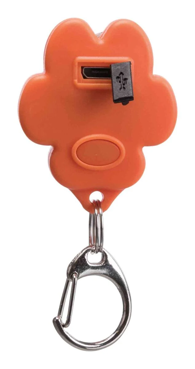 USB Flasher für Hunde