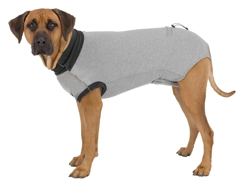 OP-Body für Hunde
