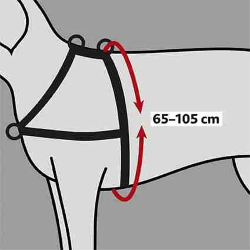 Trainingsgeschirr Lead'n'Walk Soft