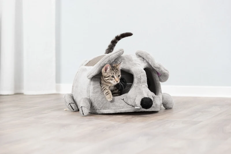 Kuschelhöhle Lukas