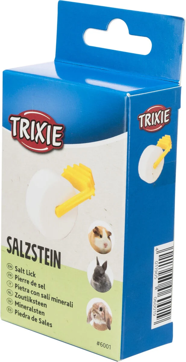 Salzstein