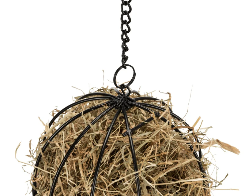 Food-Ball
