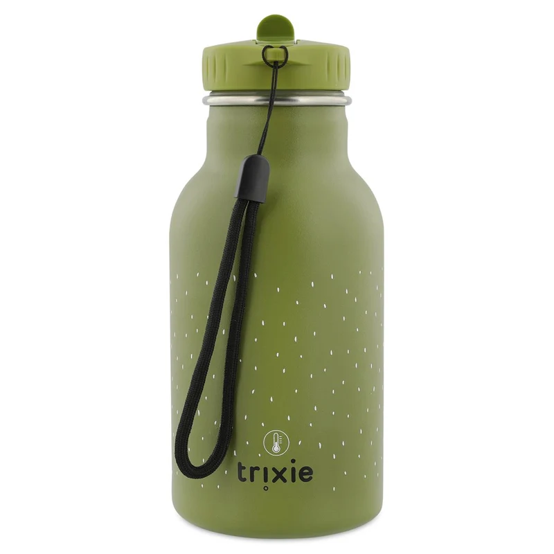 Isolierte Trinkflasche 350ml - Mr. Dino