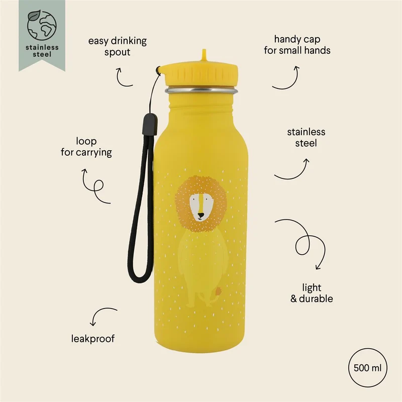 41-213 Bottle 500ml - Mr. Lion