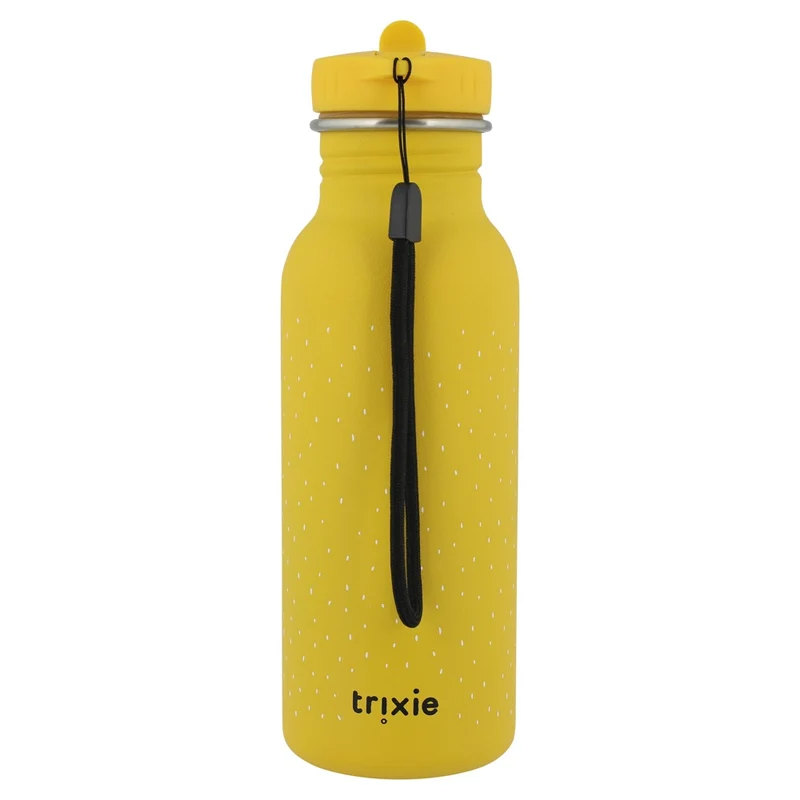 41-213 Bottle 500ml - Mr. Lion