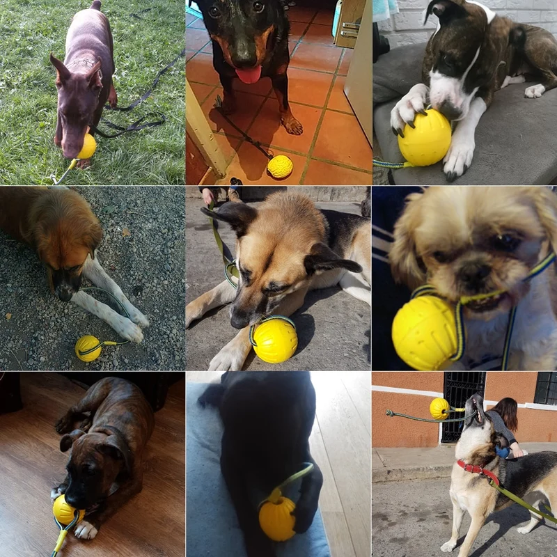 Dog Toy ToothBrush