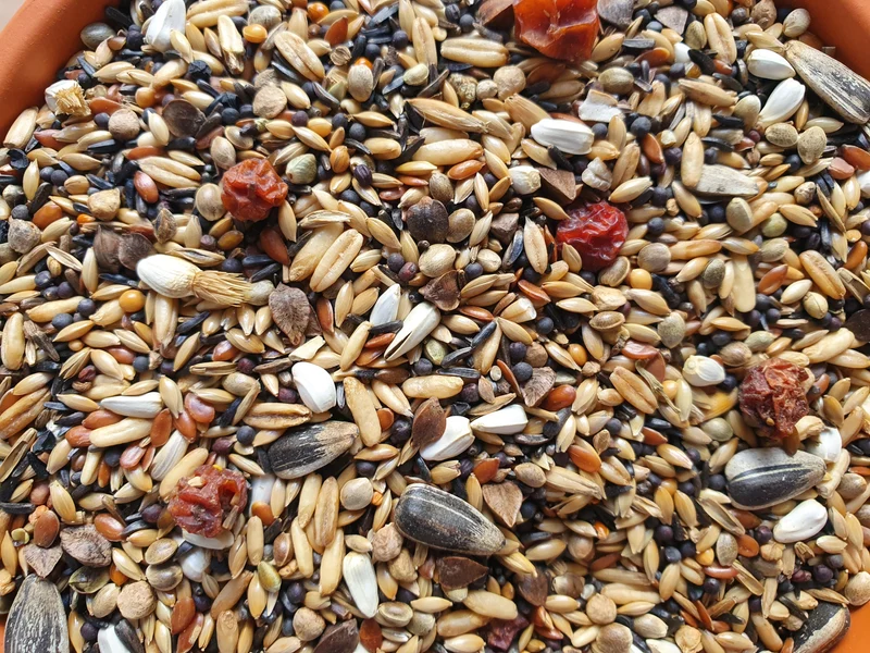 Grün- und Stieglitz 1kg 217 - Hobbyfarm Hoebregts