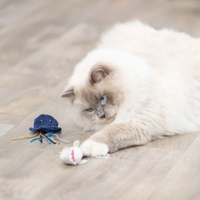 Trixie Katzenspielzeug Meerestiere