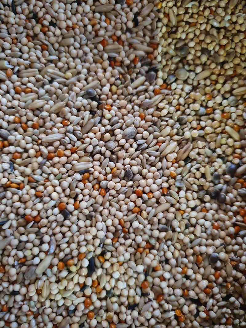 Qualitätsmischung für Sittiche, 1 kg