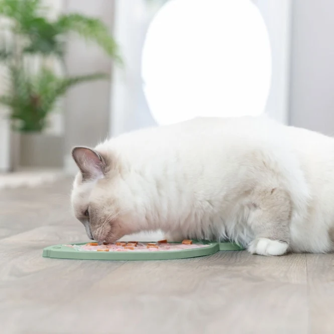 Trixie Lick'n'Snack Matte Fisch für Katzen