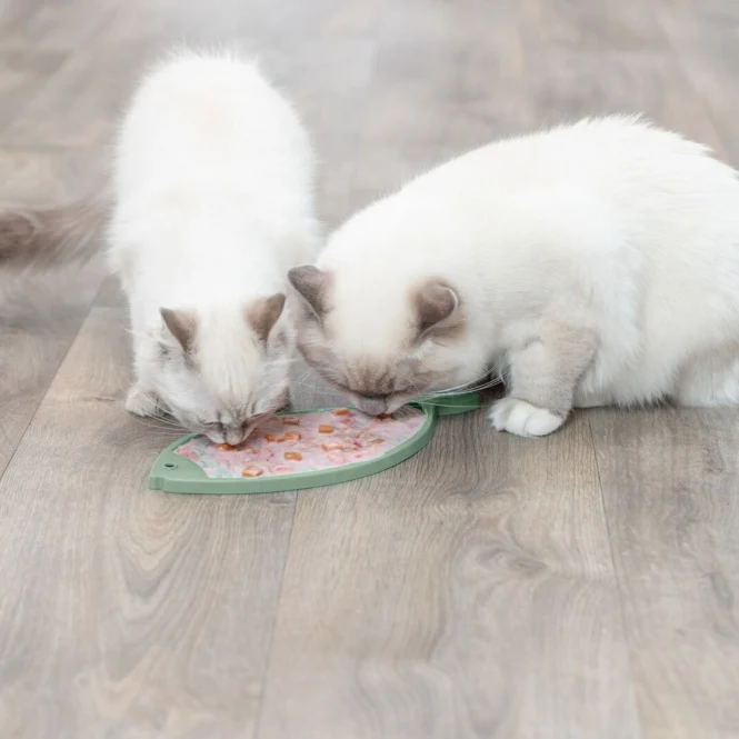 Trixie Lick'n'Snack Matte Fisch für Katzen