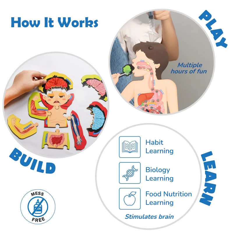 Smartivity Food Body & Nutrition Kit