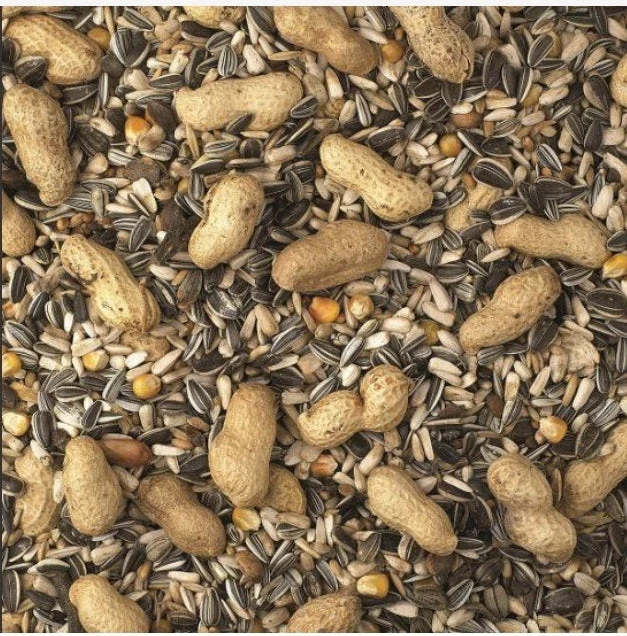 Papageienmischung 5kg (selbstverpackt)