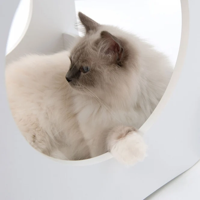 Vesper Katzenhaus Condo