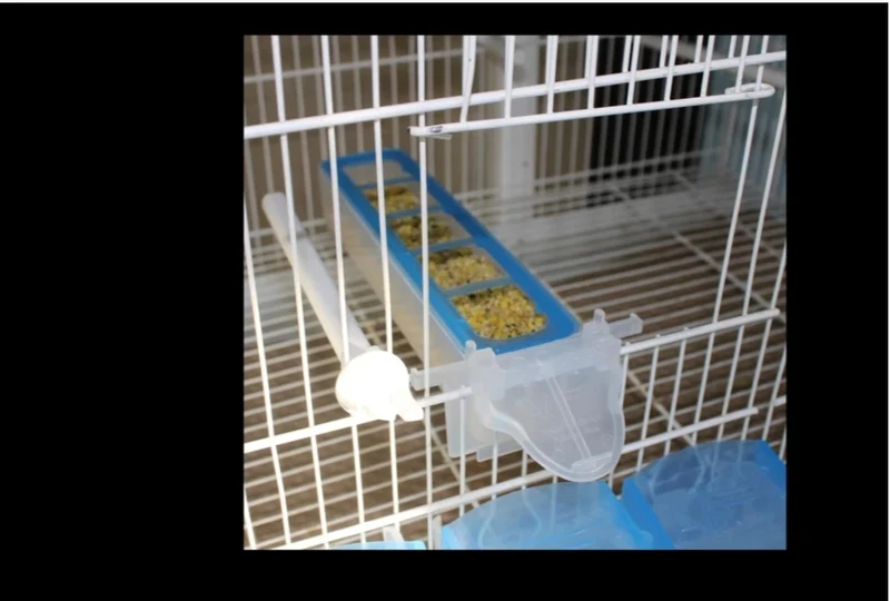 Kombipaket, - Cupe, - Apollo Feeder