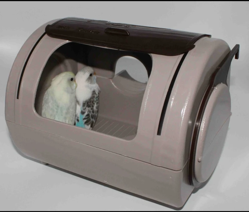Tauronnest - Moldes Ave