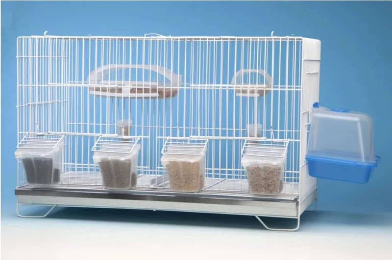 Tulipa Feeder Transparent - Moldes Ave