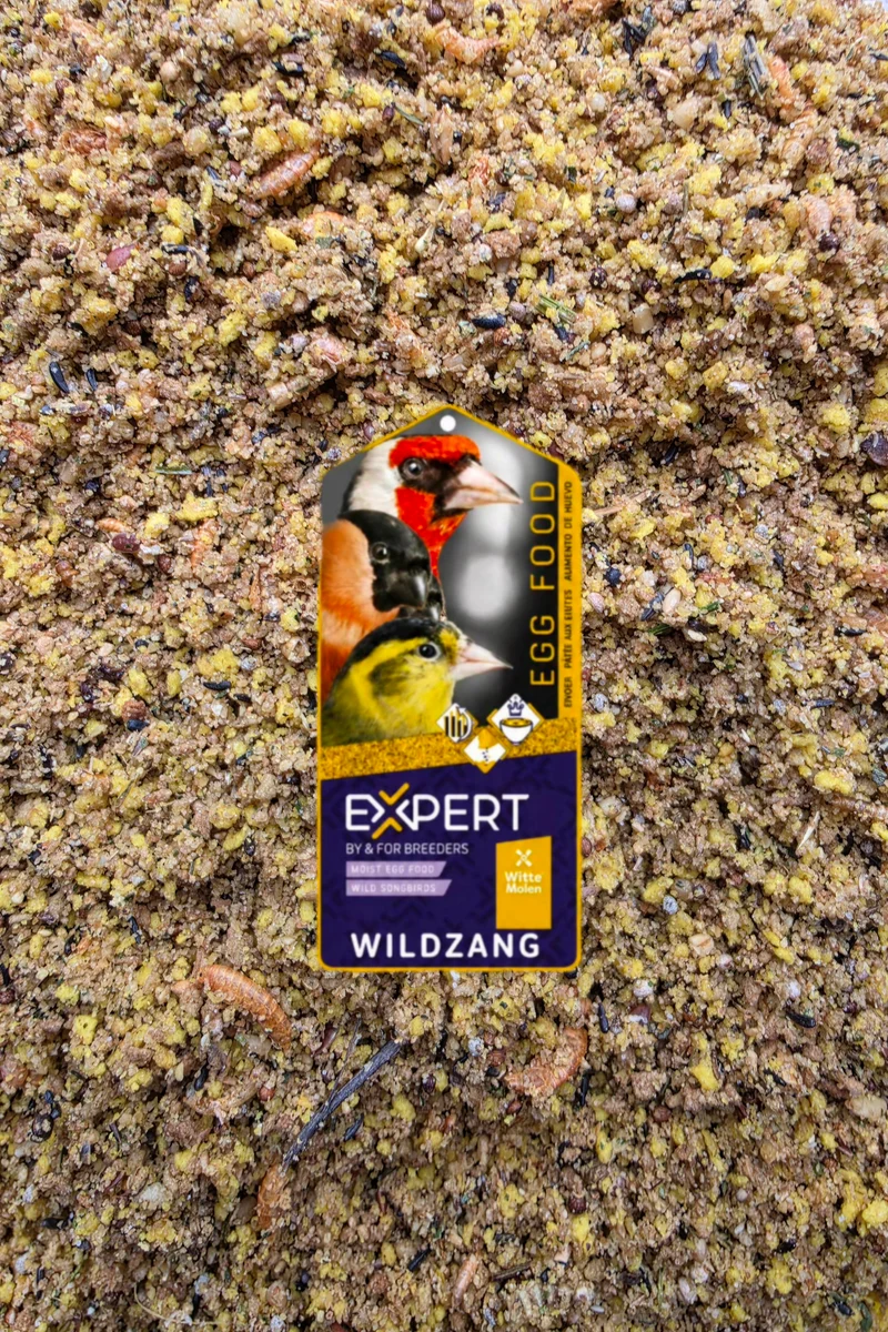EXPERT Wildvogel-Eierfutter – 500 Gramm – 15.6 % Protein, Insekten, Gammarus – Witte Molen
