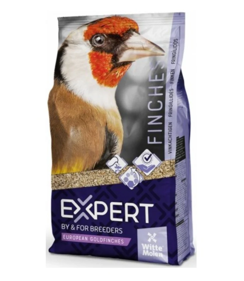 Expert Putter 2 kg – hochwertige Zusammensetzung