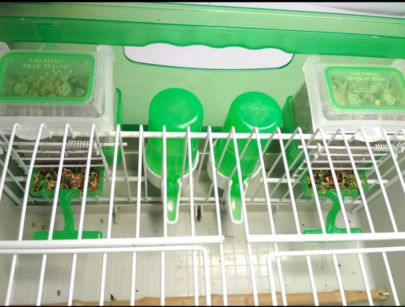 Carla Futternapf „Anti-Waste“ GRÜN 125 Gramm