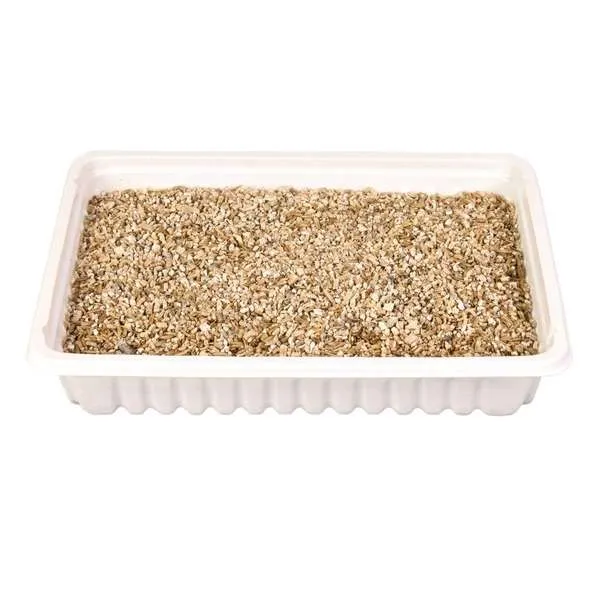 Trixie Katzengras-Schale, ca. 100 g