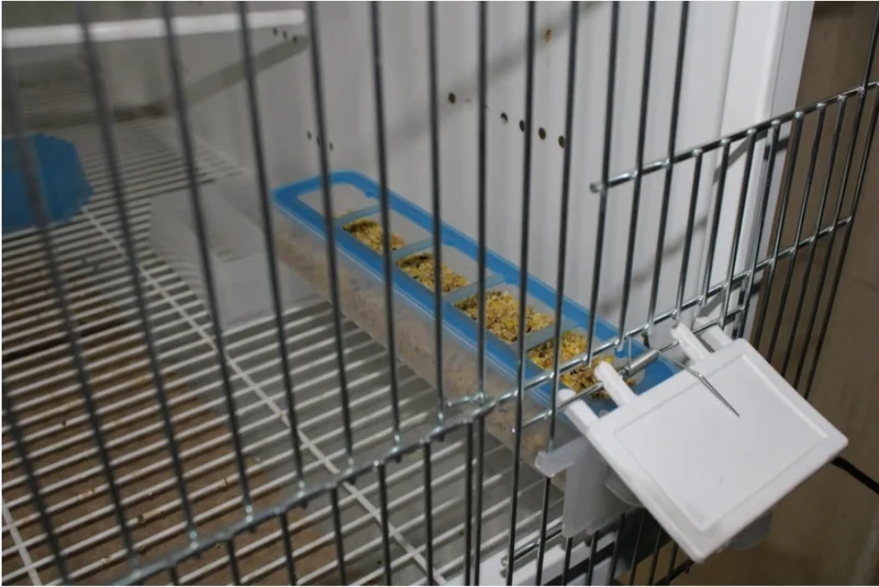 Apollo Feeder – Moldes Ave