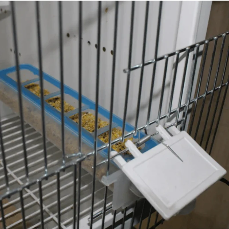 Apollo Feeder – Moldes Ave