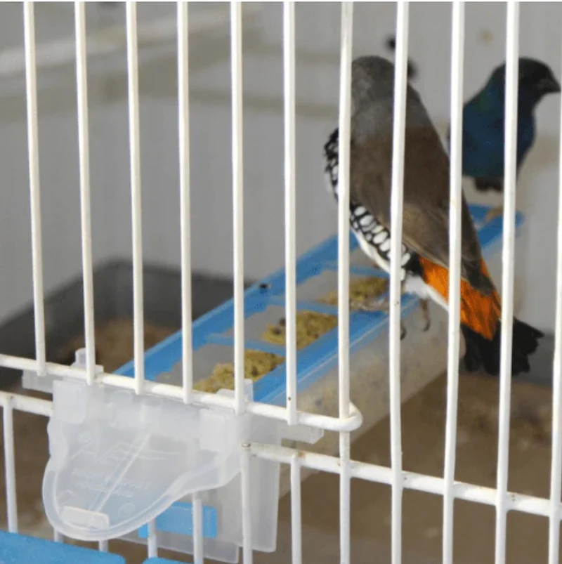 Apollo Feeder – Moldes Ave