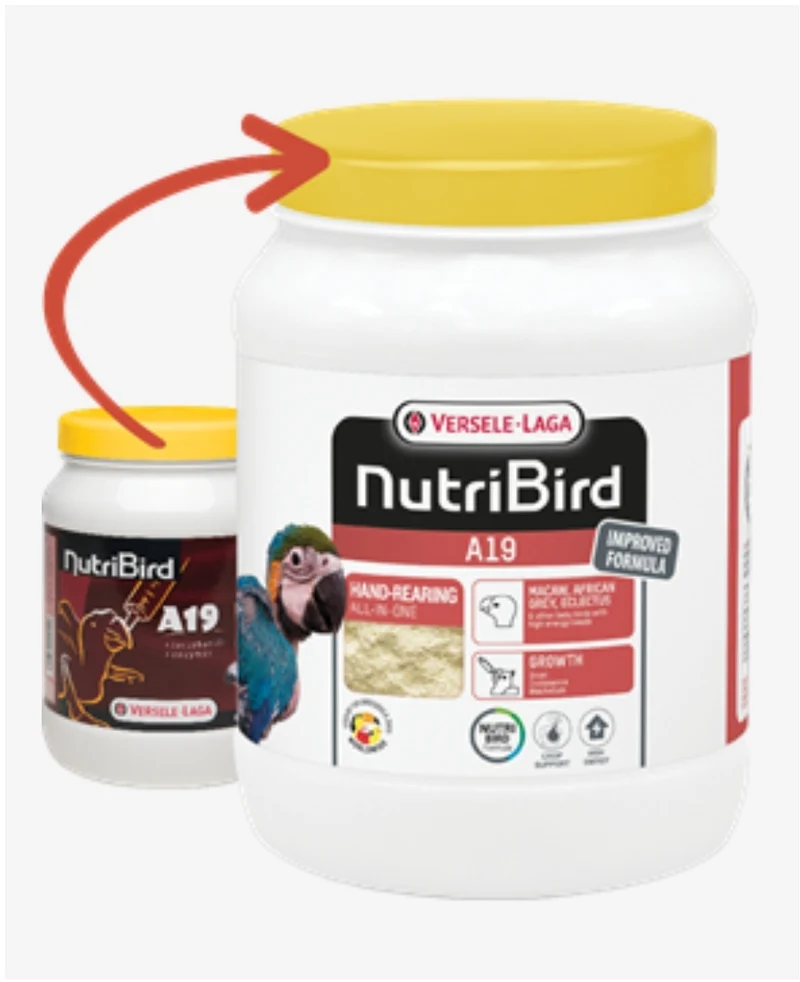 NutriBird A19 – 800 Gramm – Handaufzucht