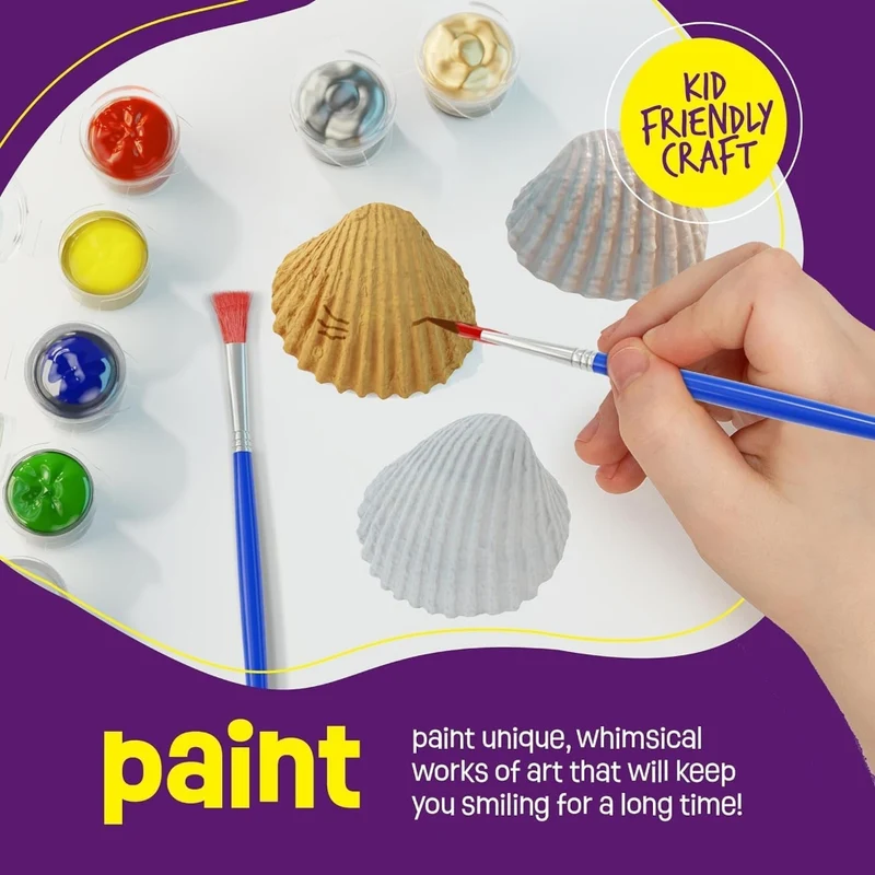 Creoos Seashell Painting Kit