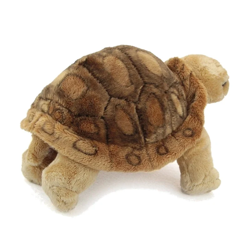 Hatim Wild Planet - Giant Tortoise